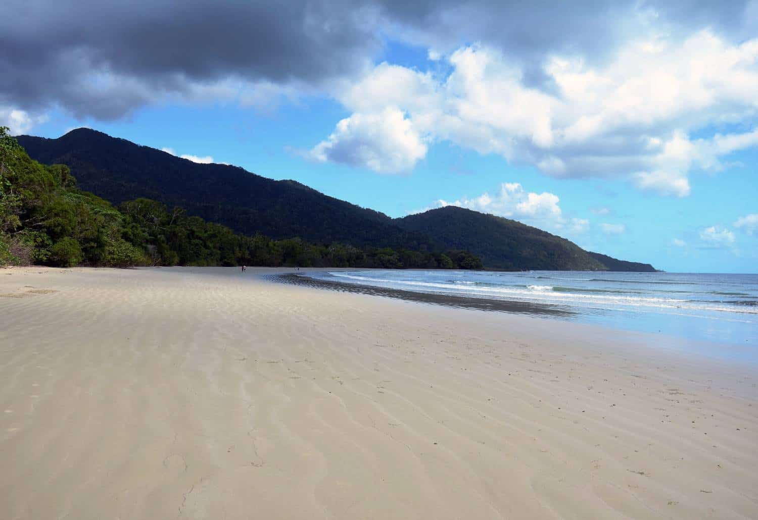 An Adventure in the Tropical North: From Cairns to Cape Tribulation