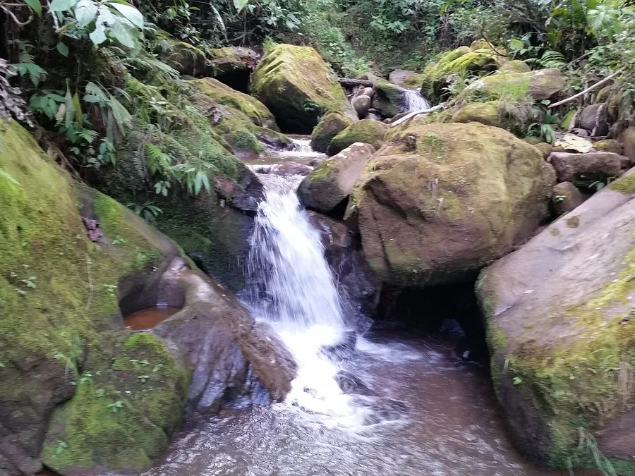Chanchamayo travel — on location