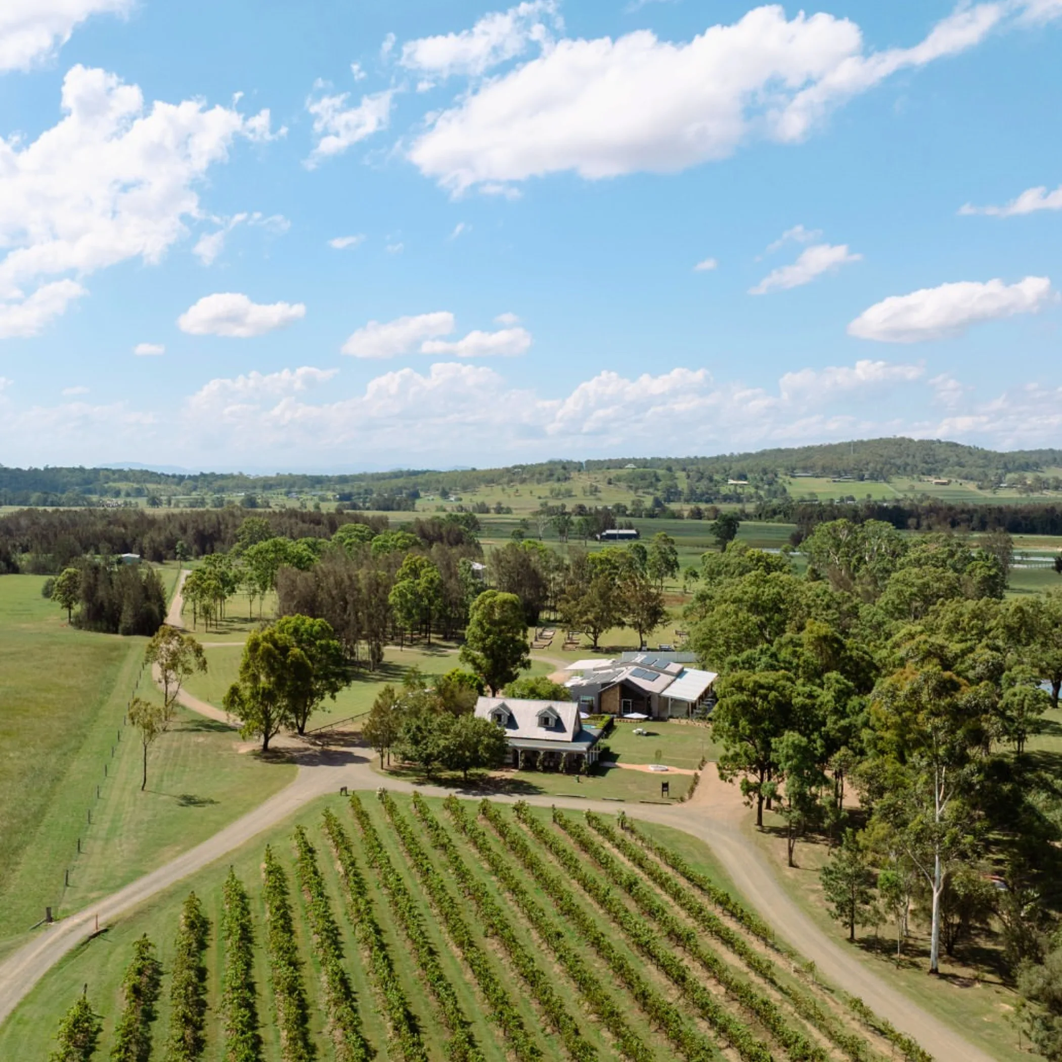 hunter valley vineyard and countryside