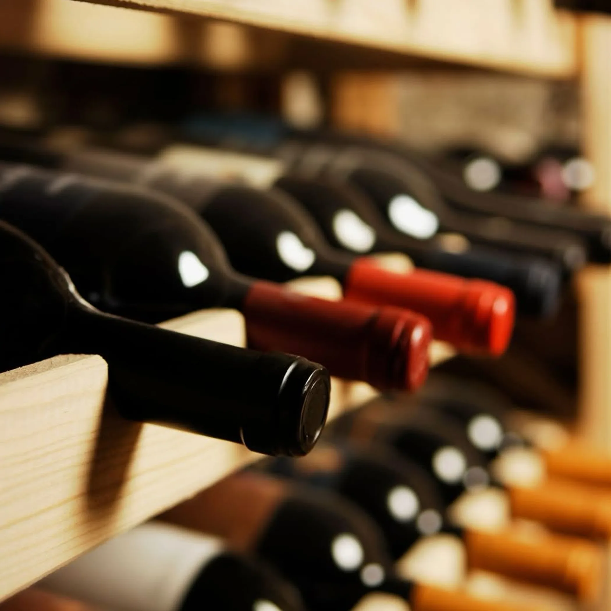 bottles of wine on display